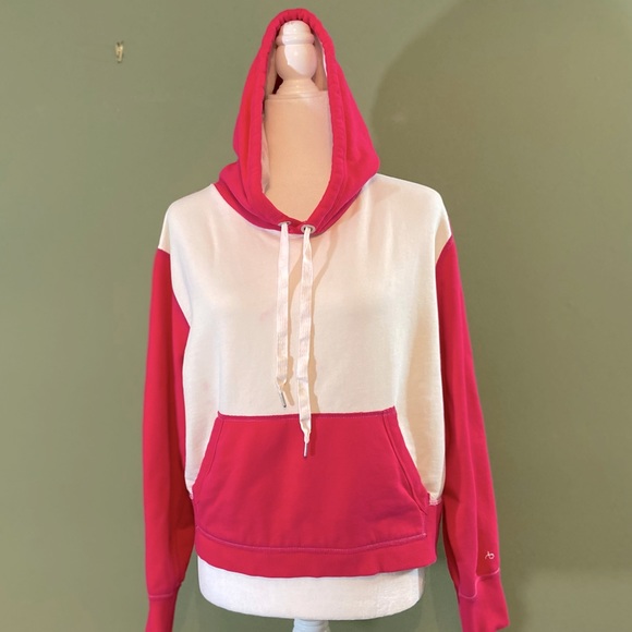 rag & bone Tops - Rag & bone color block hooded pullover sweatshirt M/M